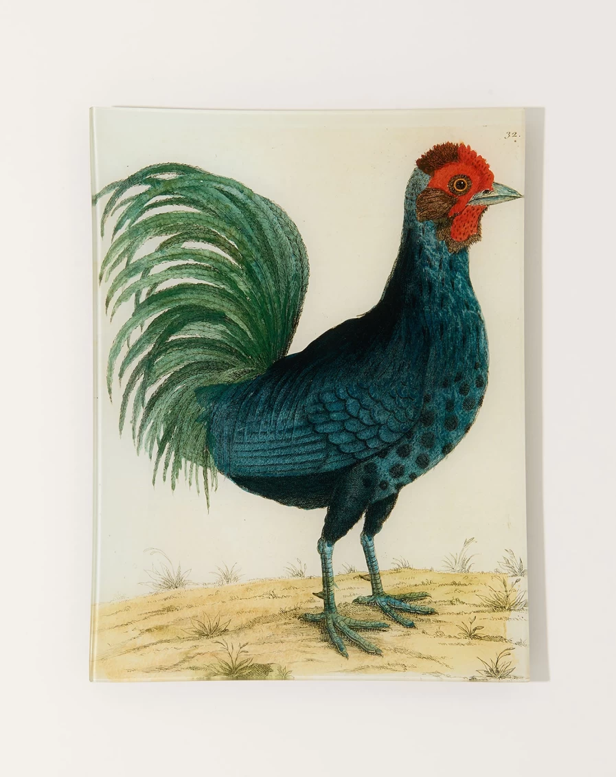 John Derian 17" Hamburg Cock Tray – Decorative Serving Tray with Vintage Design