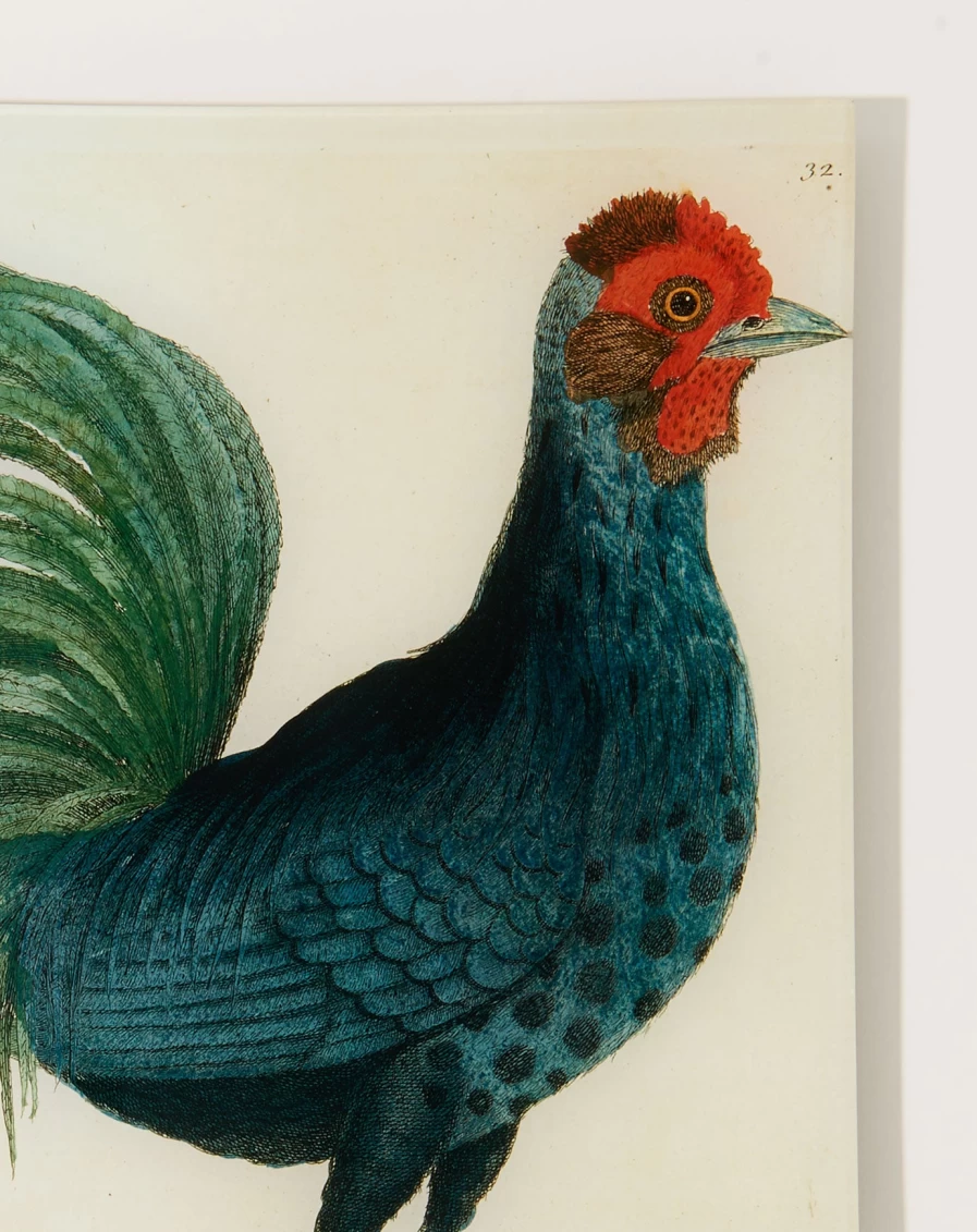 John Derian 17" Hamburg Cock Tray – Decorative Serving Tray with Vintage Design