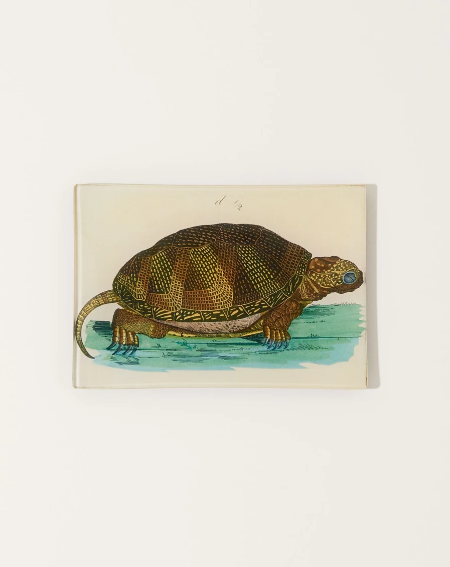 John Derian Turtle D Mini Tray - Decorative Resin Catchall Dish for Home Decor