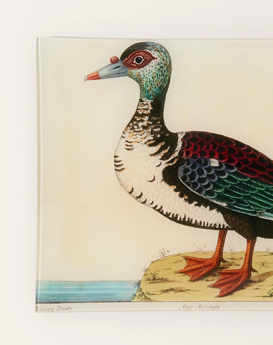 John Derian Decorative 48-Piece Muscovy Duck Tray Set - Vintage-Inspired Serving Tray Collection