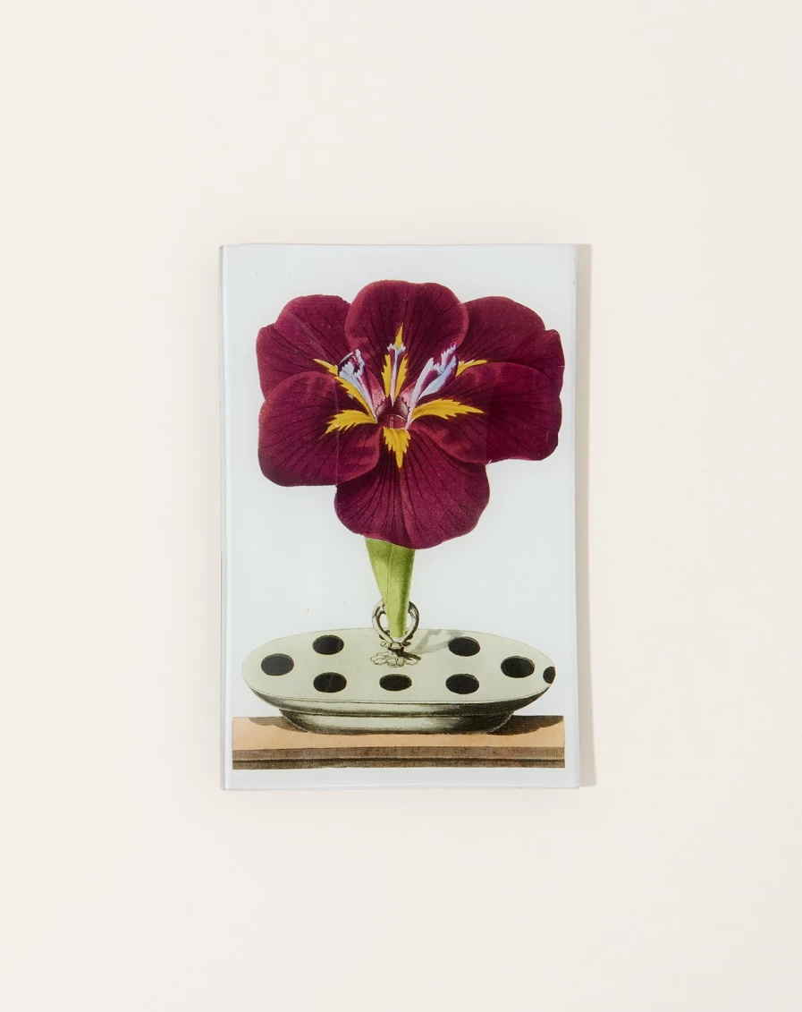 John Derian Gladiola Rectangular Decorative Tray – Handcrafted Home Decor Serving Tray