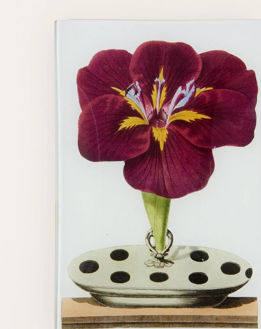 John Derian Gladiola Rectangular Decorative Tray – Handcrafted Home Decor Serving Tray