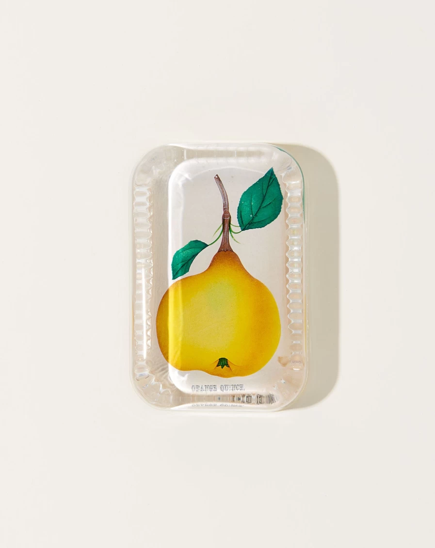 John Derian Orange Quince Dotted Edge Glass Paperweight - Decorative Collectible Home Desk Accessory