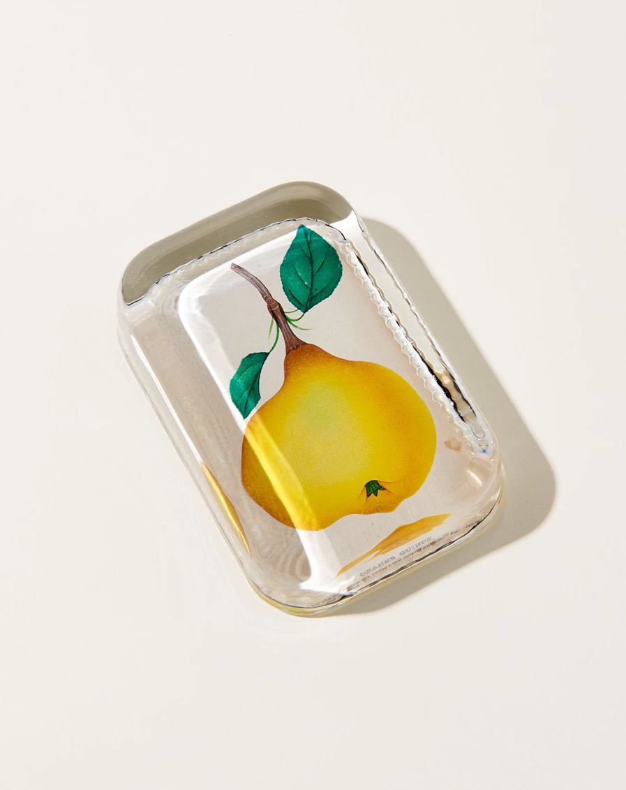 John Derian Orange Quince Dotted Edge Glass Paperweight - Decorative Collectible Home Desk Accessory