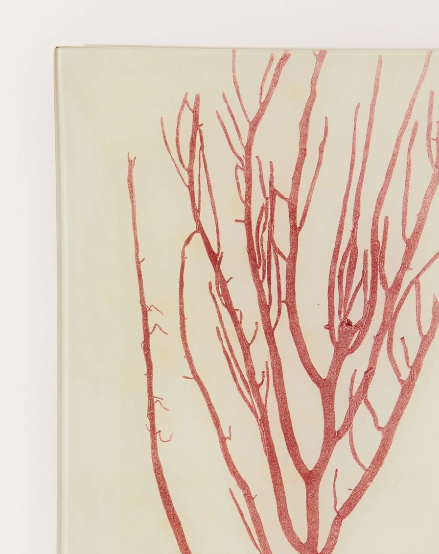 John Derian Decorative Seaweed Design Tray – Luxe Collection