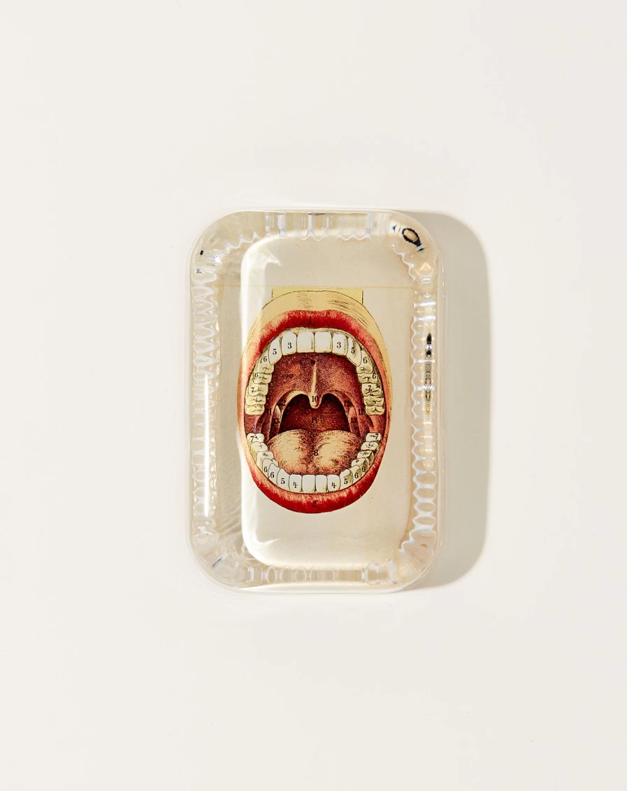 John Derian Stephen Dotted Edge Glass Paperweight - Decorative Collectible Desktop Accessory
