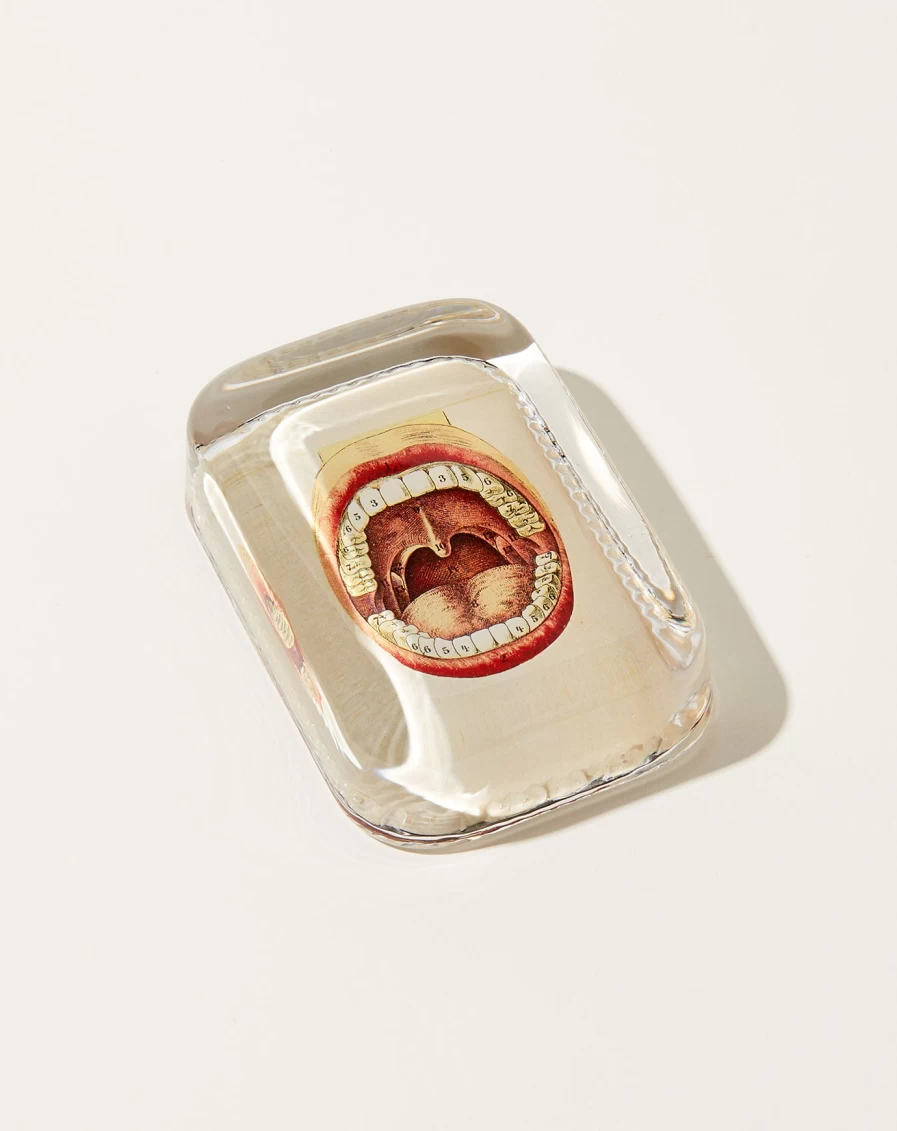 John Derian Stephen Dotted Edge Glass Paperweight - Decorative Collectible Desktop Accessory