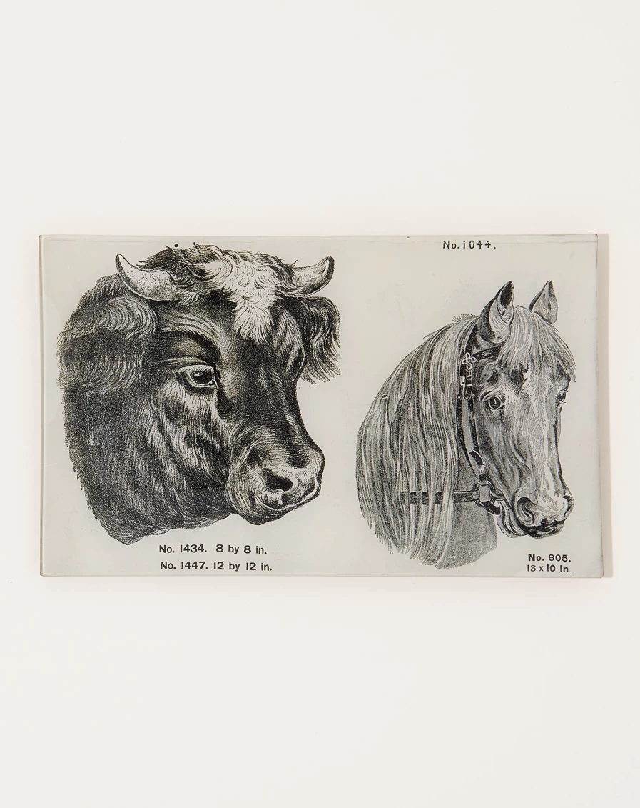 John Derian Decorative Cow and Horse Melamine Tray for Farmhouse Style Dining