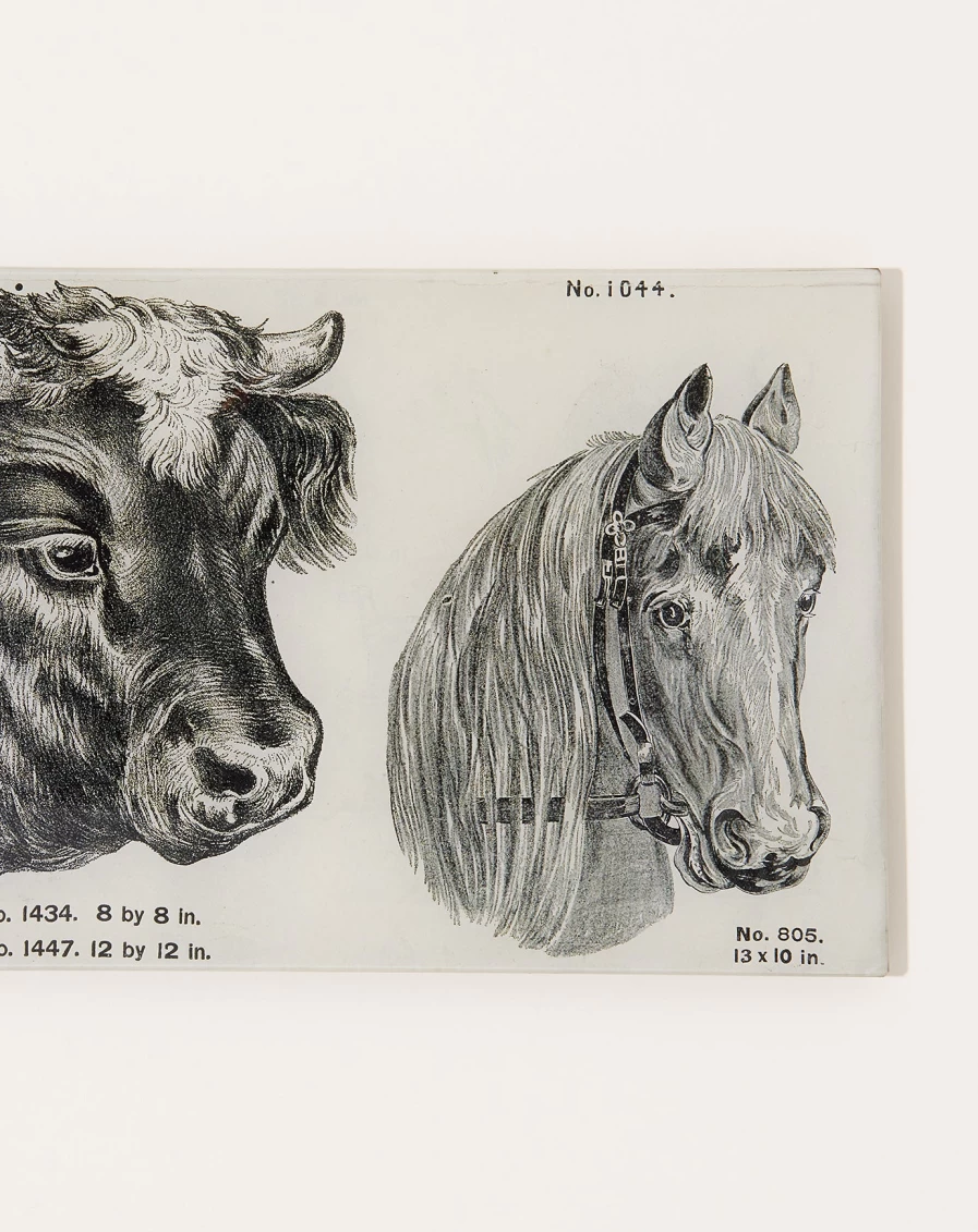 John Derian Decorative Cow and Horse Melamine Tray for Farmhouse Style Dining