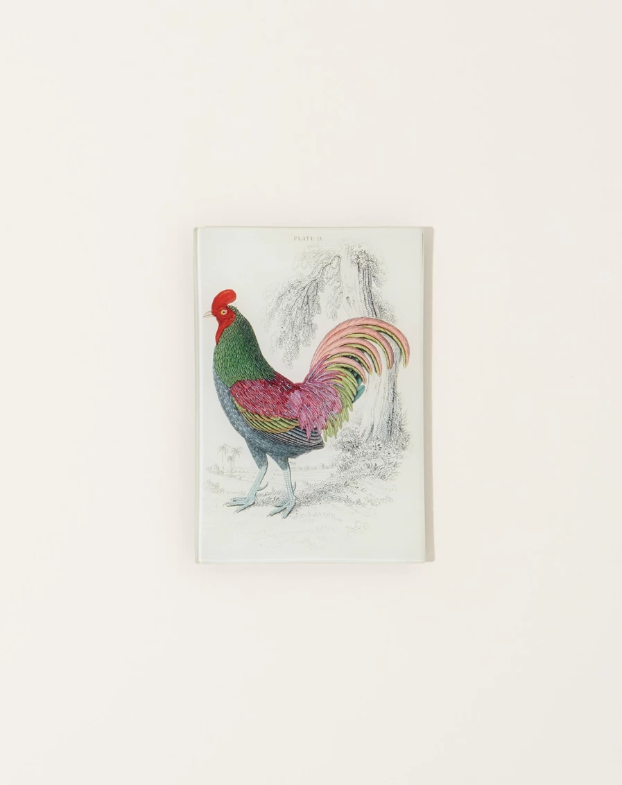 John Derian Gallus Aeneus Mini Decorative Tray