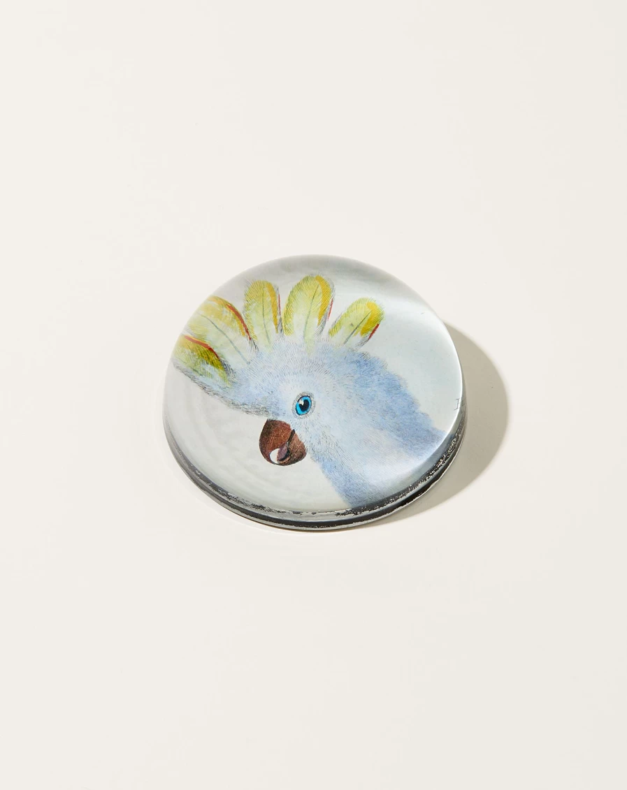 John Derian Vintage-Inspired Rooster Paperweight - Cockadoodle Decorative Desk Accessory