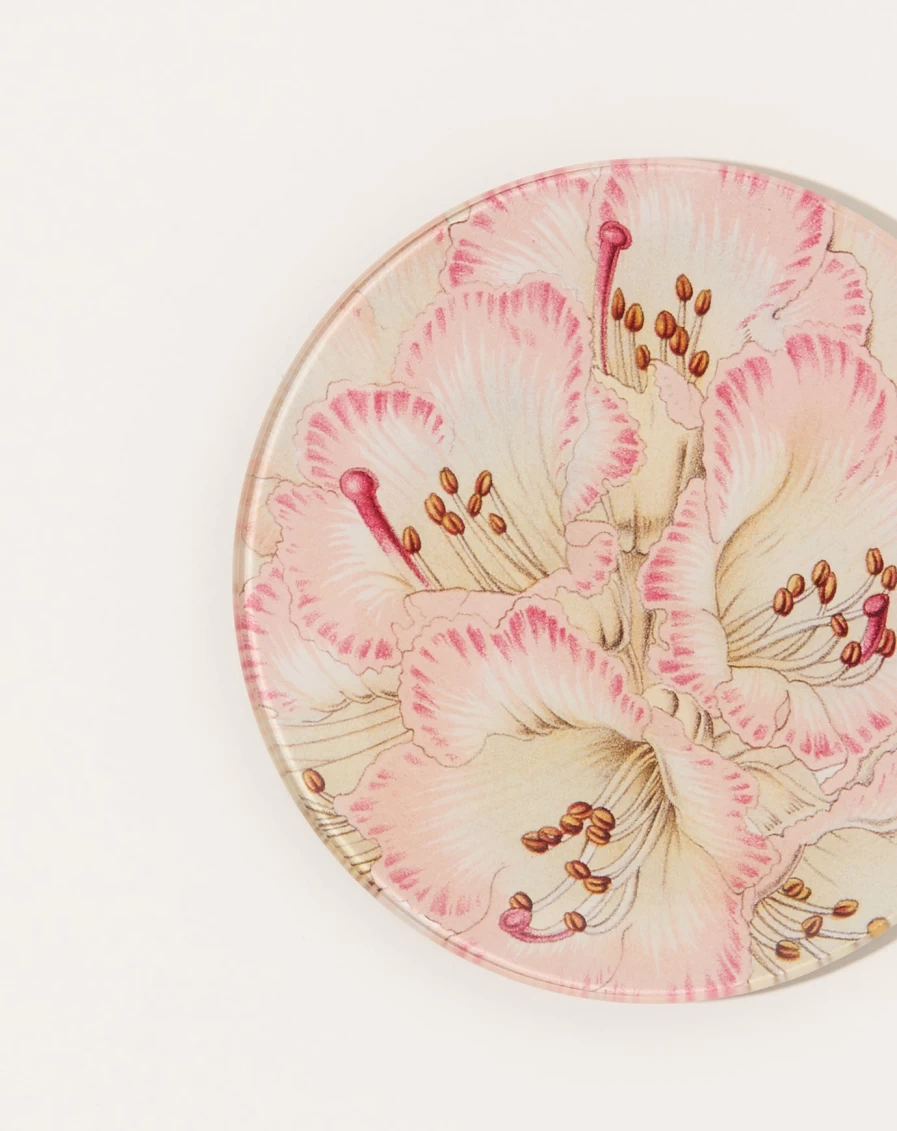 John Derian Cinnamon Campanulatum Rhododendron Decorative Round Tray 5.75"