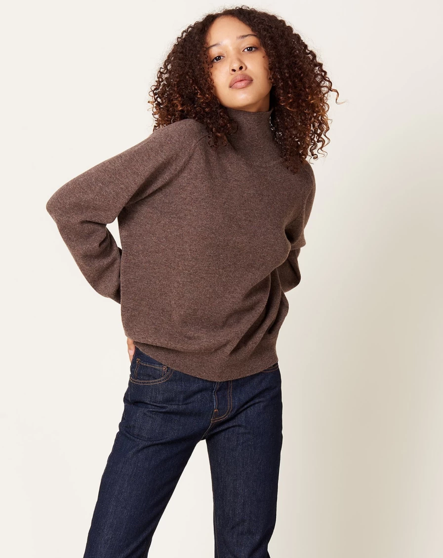 Demylee Nansen Heather Brown Turtleneck Sweater for Women