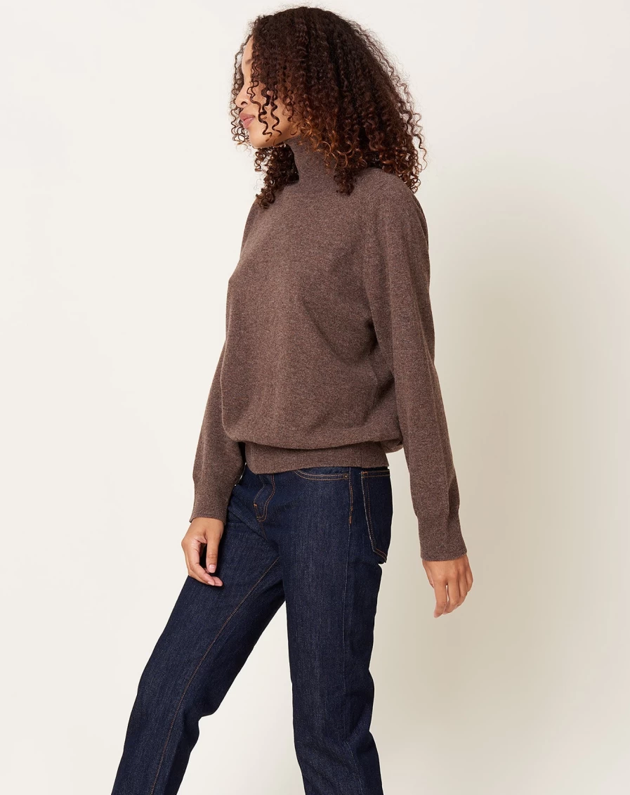 Demylee Nansen Heather Brown Turtleneck Sweater for Women