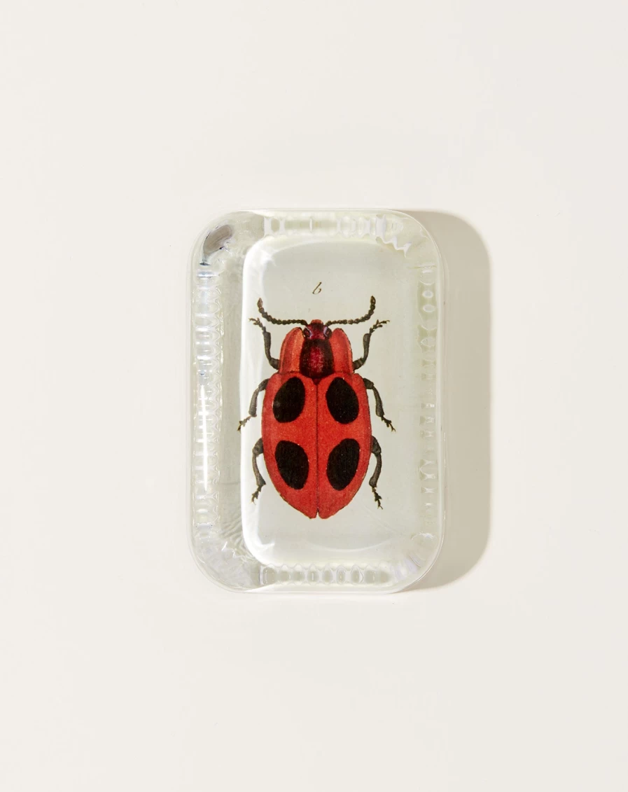 John Derian Big Dot Ladybug Decorative Paperweight with Dotted Edge