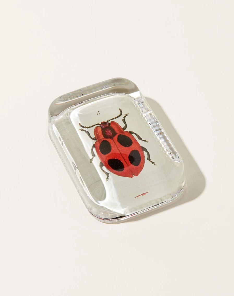 John Derian Big Dot Ladybug Decorative Paperweight with Dotted Edge
