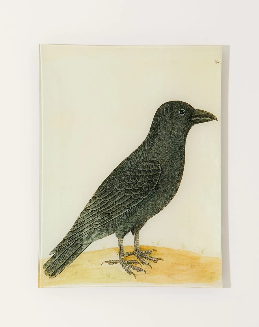 John Derian Raven (Right) Tray - Decorative Resin Serving Tray, Vintage-Inspired Home Decor