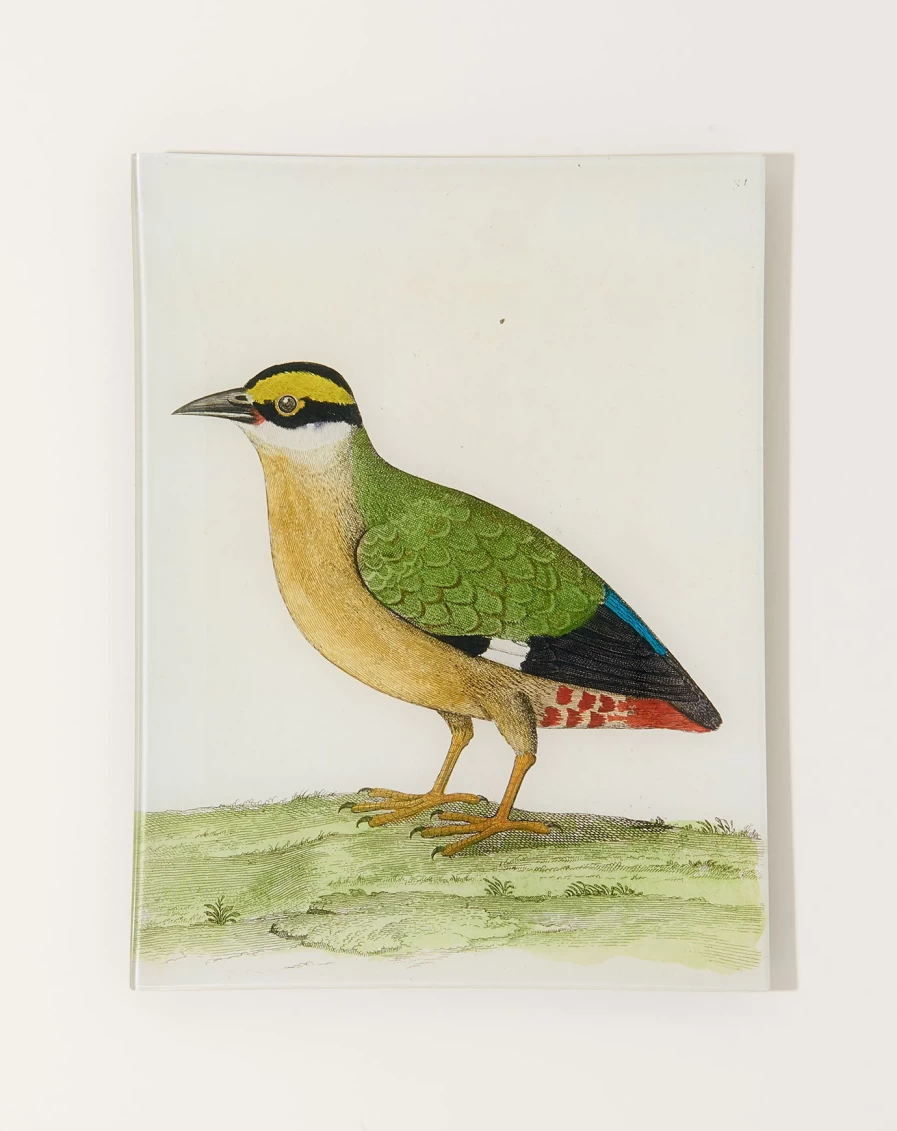 John Derian Good Hope Quail Decorative Tray - 33" Vintage-Inspired Home Decor