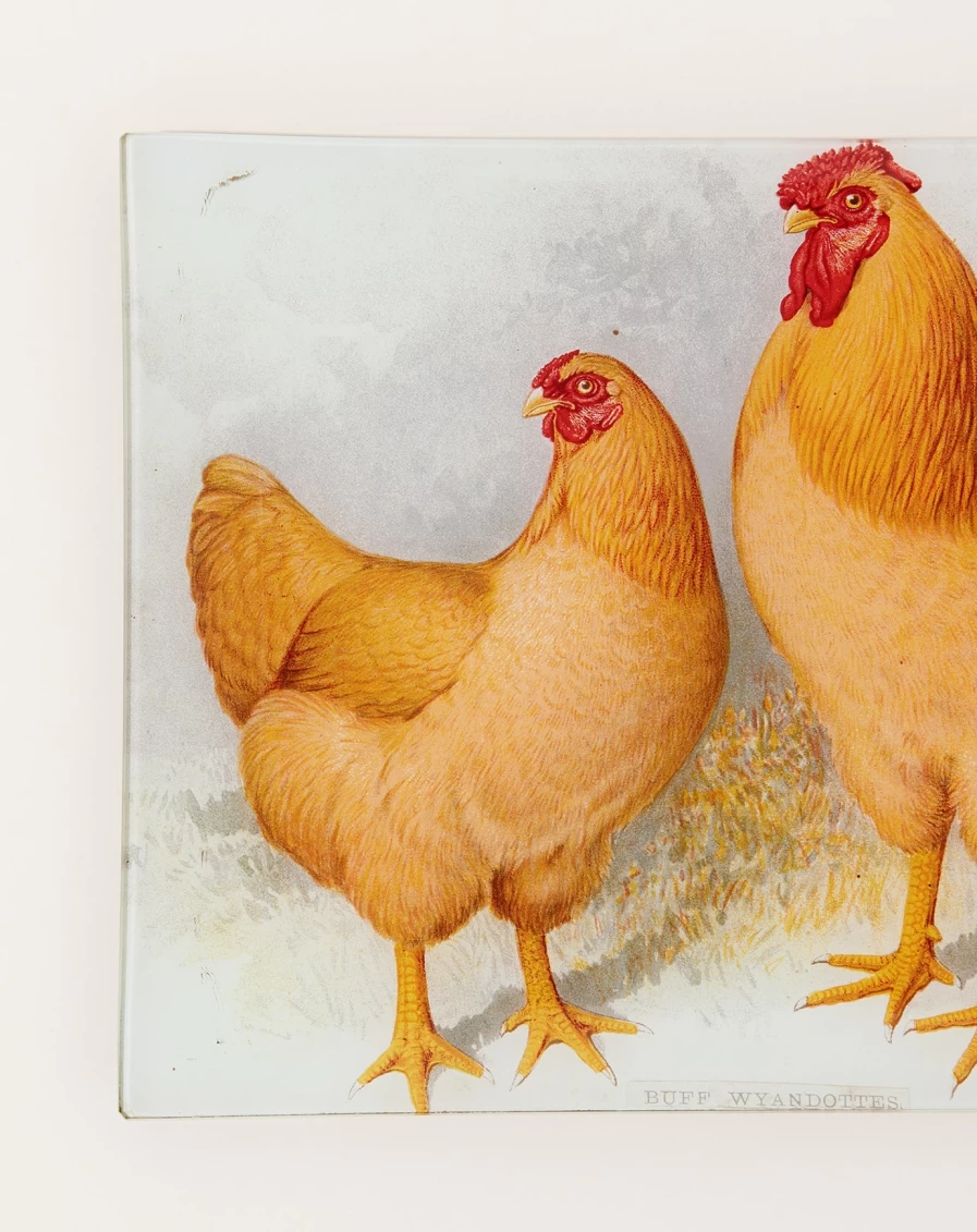 John Derian Decorative Buff Wyandotte Chickens Rectangular Serving Tray