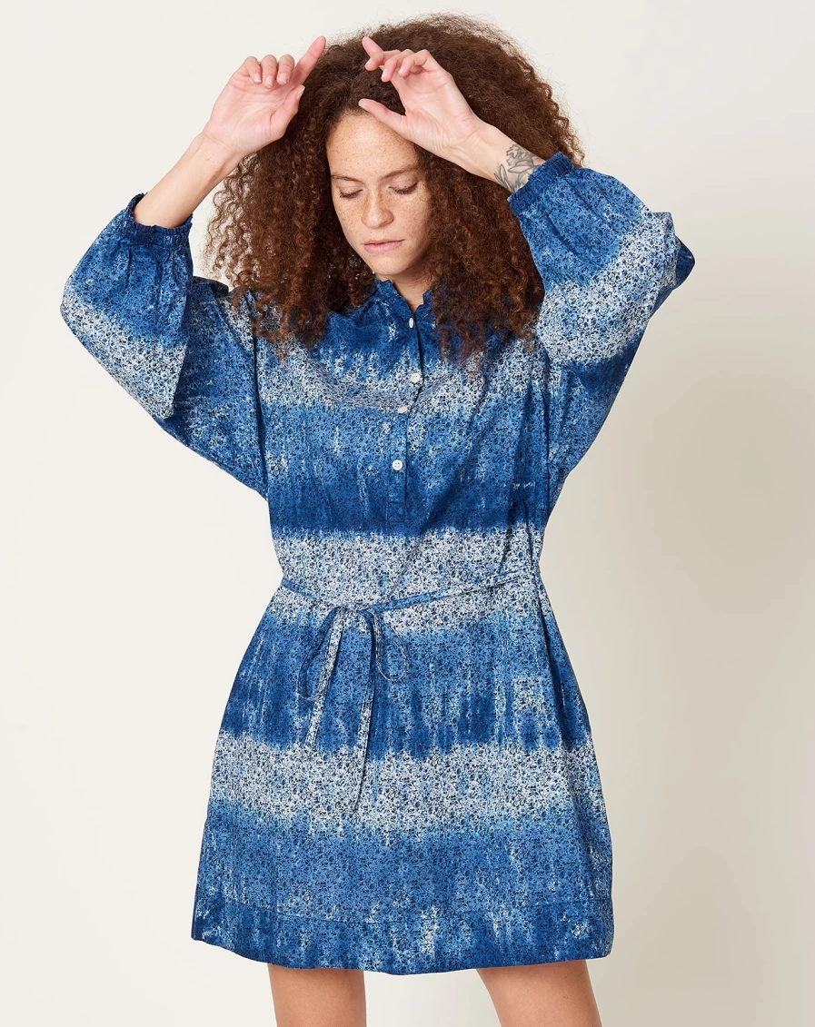 Raquel Allegra Sparrow Dress - Liberty Dapples and Stripes Pattern