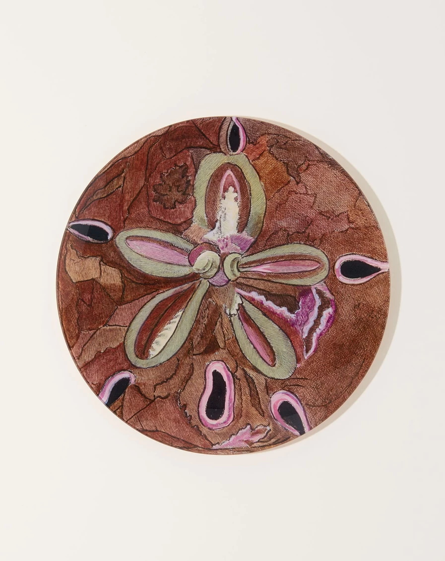 John Derian Pink Urchin Decorative Figurine - 11-Inch Round Collectible Home Decor