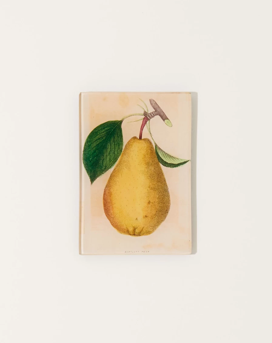 John Derian Decorative Bartlett Pear Tiny Tray - Handcrafted Vintage-Inspired Home Accent