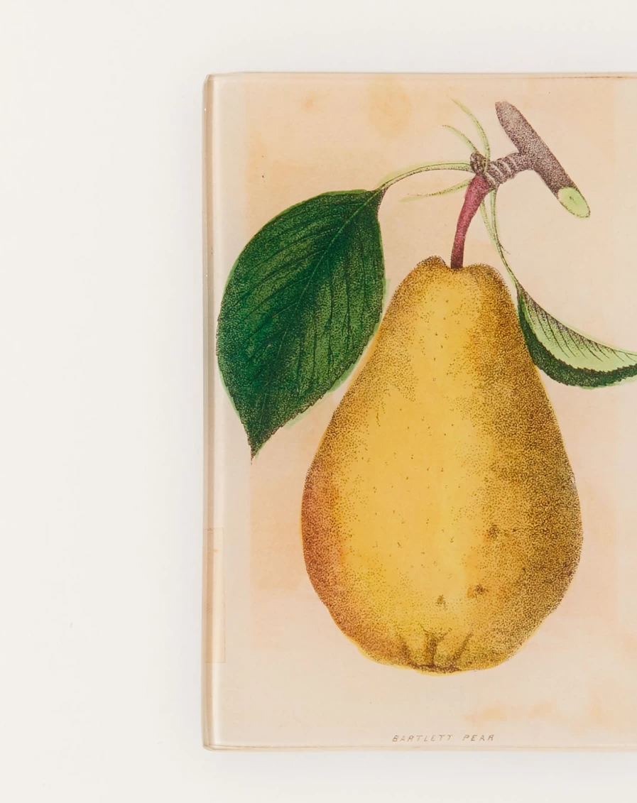 John Derian Decorative Bartlett Pear Tiny Tray - Handcrafted Vintage-Inspired Home Accent