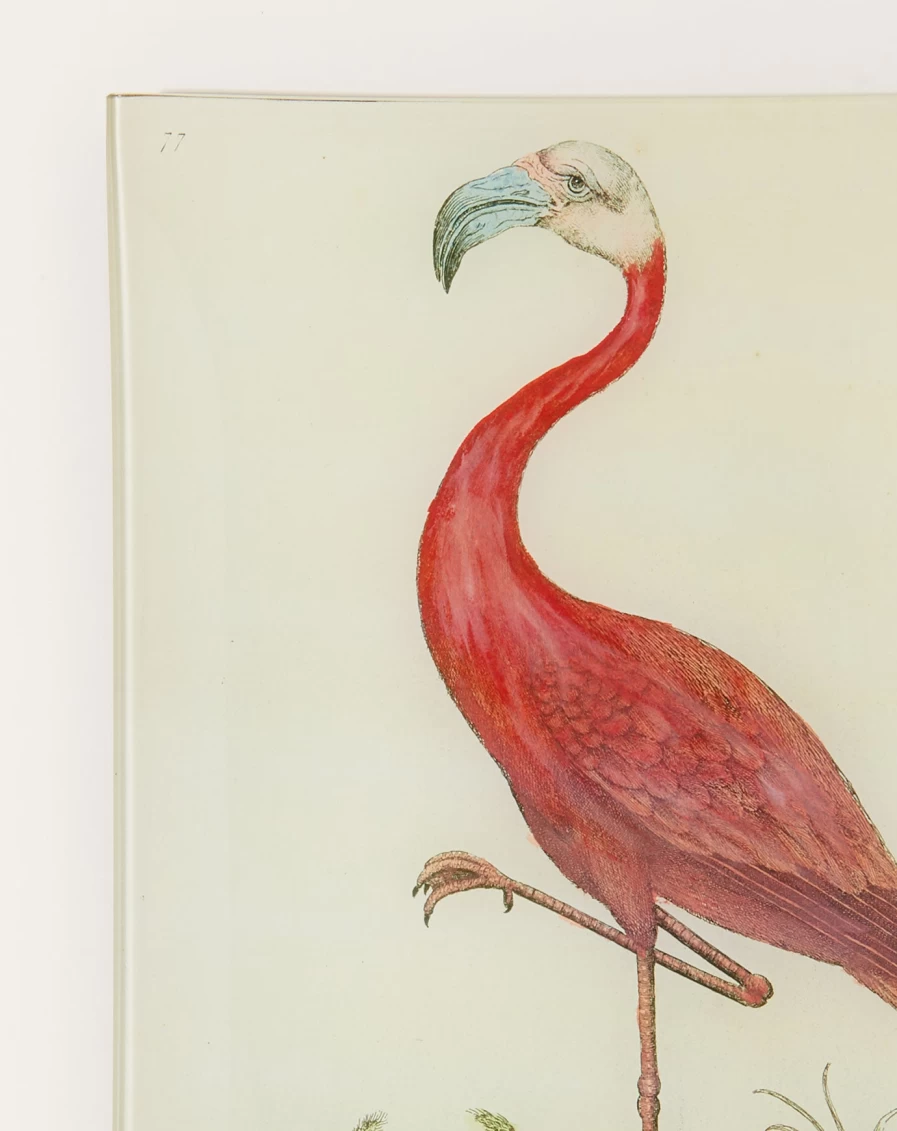 John Derian Decorative Flamingo Tray – Vintage-Inspired 13-Inch Serving Dish