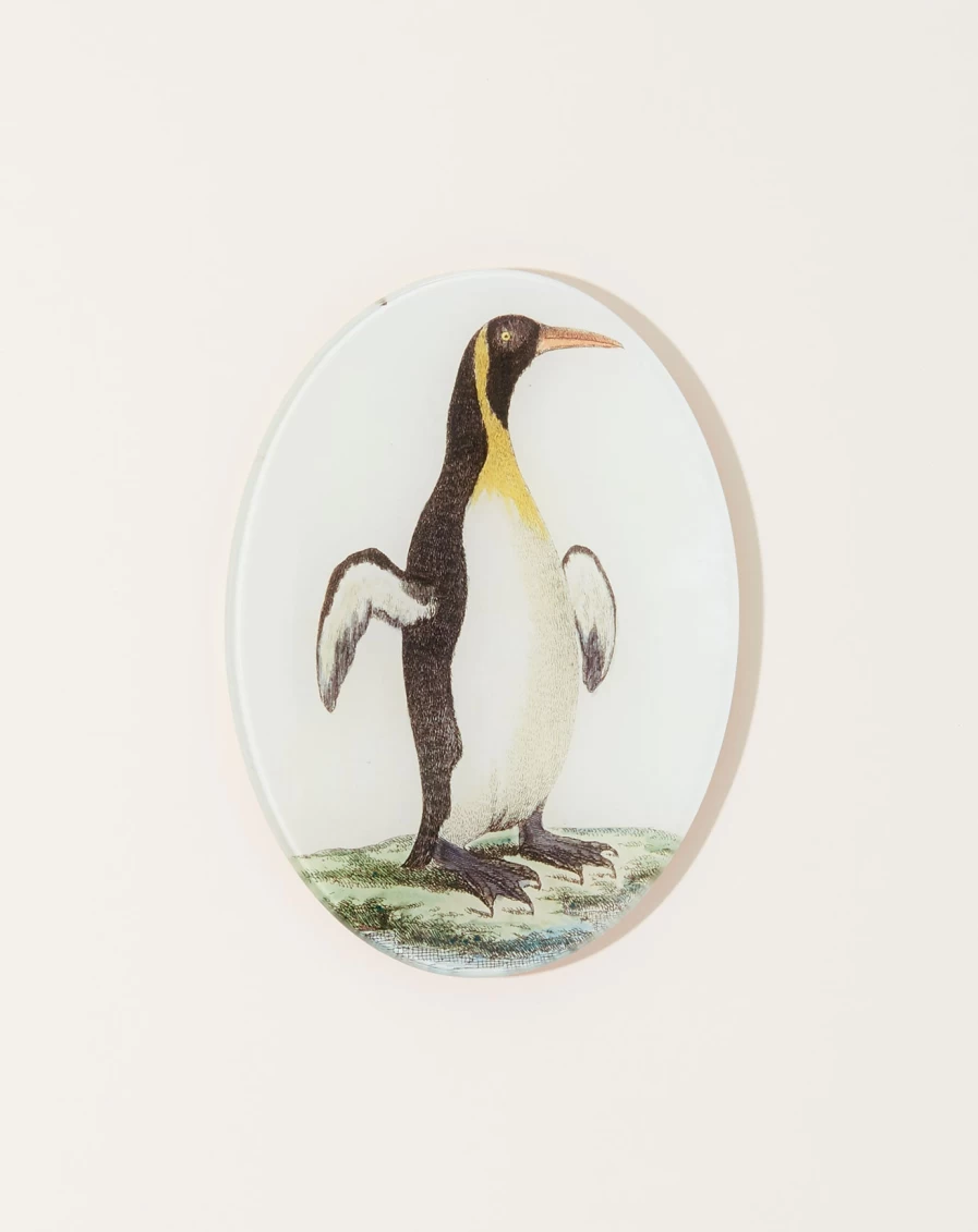 John Derian Guillemot Oval Decorative Plate for Coastal Home Decor