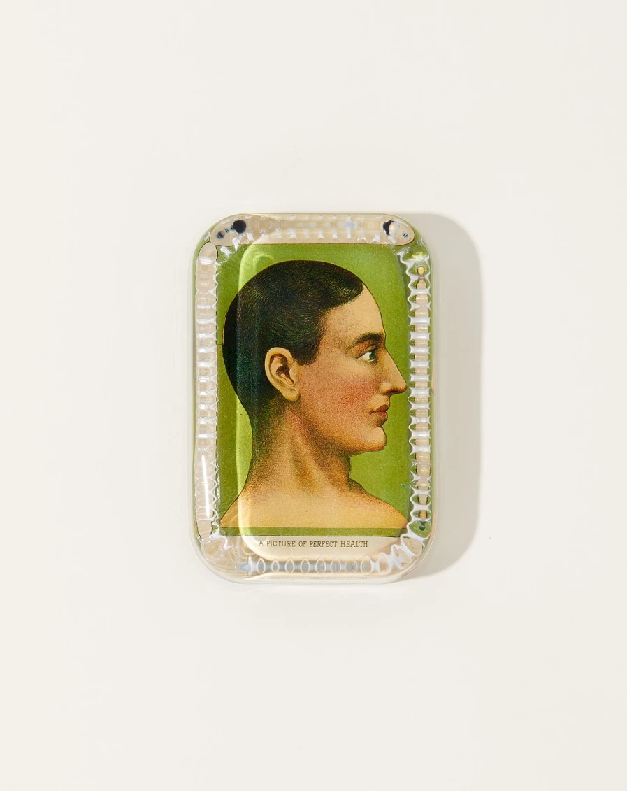 John Derian Dotted Edge Paperweight - A Picture of Perfect Health Decorative Accent