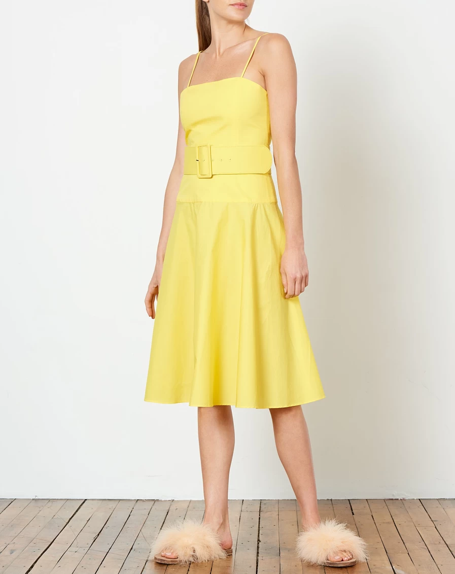 Rachel Antonoff Yellow Carter Belted Dress - Women's Fashion