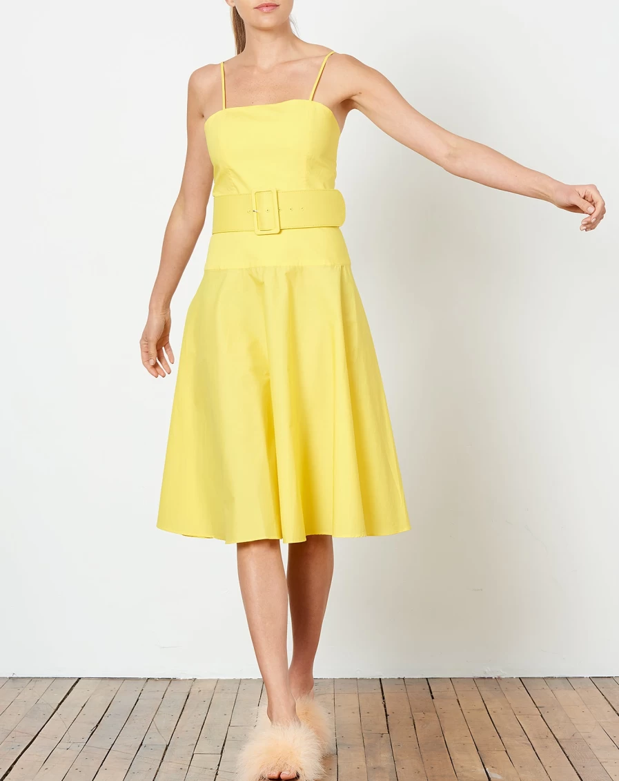 Rachel Antonoff Yellow Carter Belted Dress - Women's Fashion
