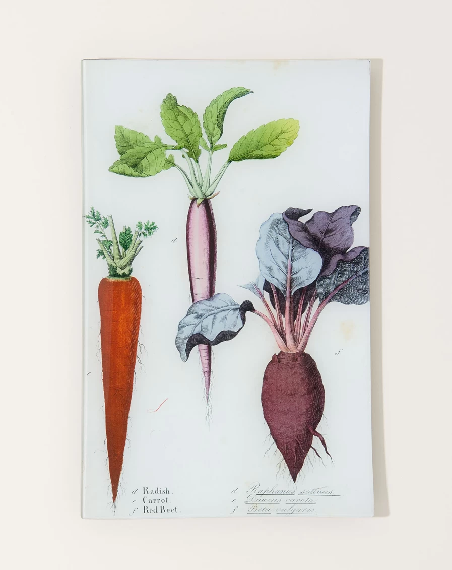 John Derian Decorative Wall Tray - Rustic Radish, Carrot, and Beet Kitchen Vegetable Design