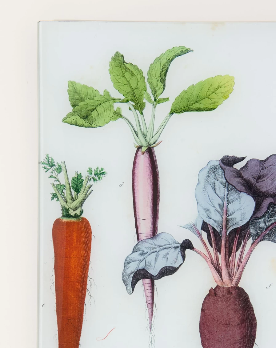 John Derian Decorative Wall Tray - Rustic Radish, Carrot, and Beet Kitchen Vegetable Design