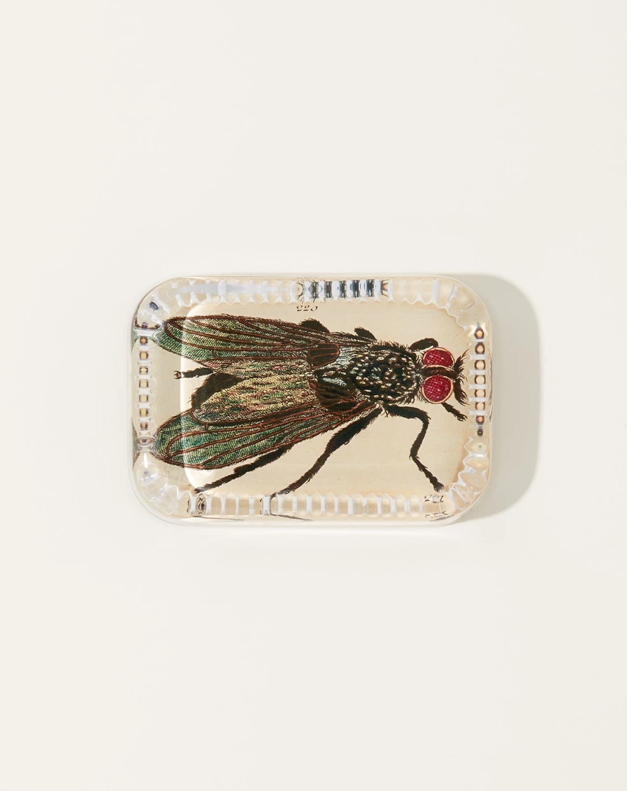 John Derian Fly Dotted Edge Glass Paperweight - Decorative Desktop Accessory