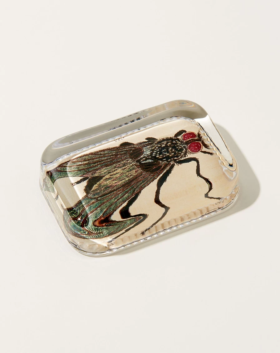 John Derian Fly Dotted Edge Glass Paperweight - Decorative Desktop Accessory