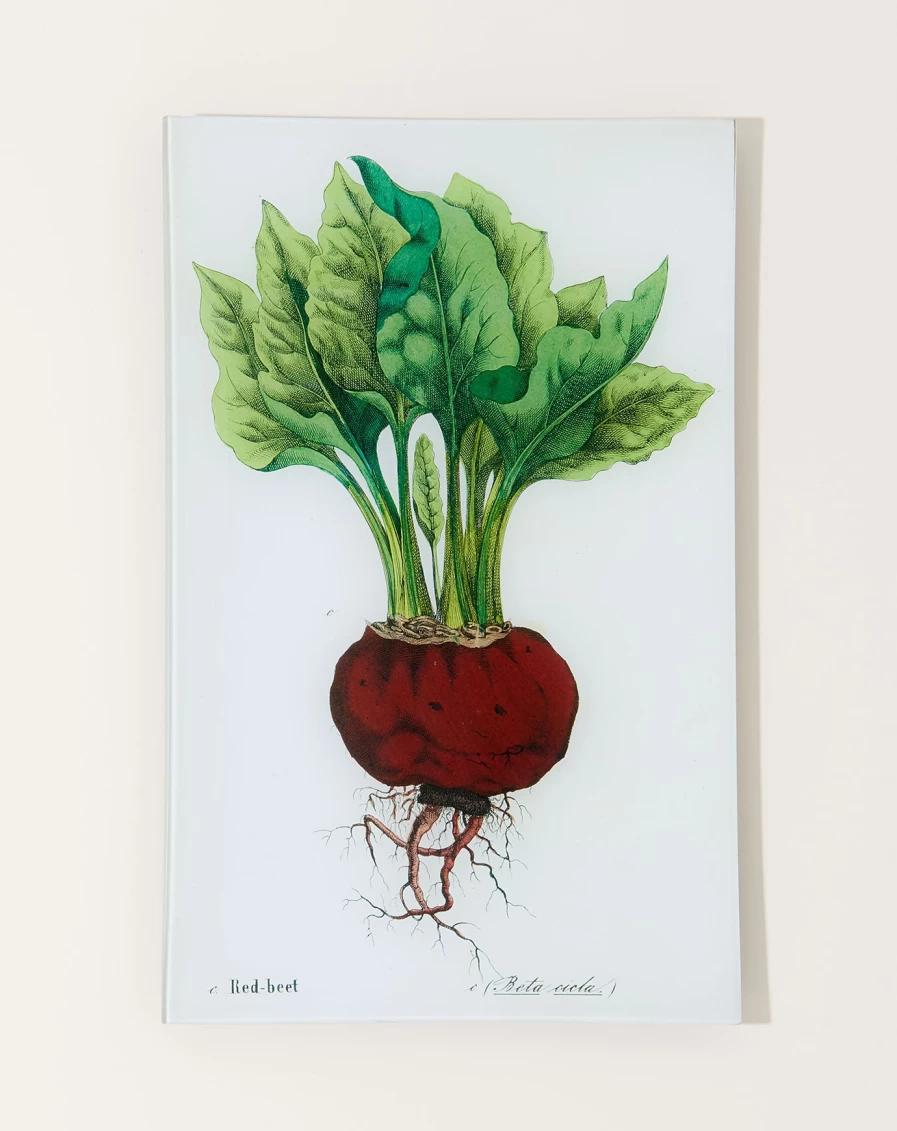 John Derian Decorative Single Beet Wall Tray for Kitchen Decor